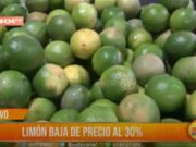 Trujillo: limón baja de precio al 30%