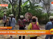 Bosque de Pómac: joya turística y ecológica de Chiclayo en ascenso