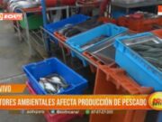 Trujillo: factores ambientales afecta producción de pescado