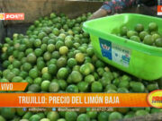 Trujillo: precio del limón baja