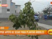 Trujillo: vecinos piden apoyo de Segat para plantar árboles