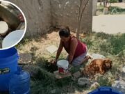 Gatito causa corte masivo de agua en distritos de Chiclayo