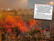 Promulgan ley que regula la quema de caña de azúcar y disponen nuevos métodos de cosecha