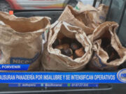 El Porvenir: clausuran panadería por insalubre y se intensifican operativos