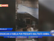 Trujillo: denuncian a familia por presunto maltrato animal