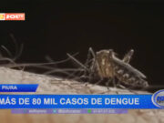 Piura: más de 80 mil casos de dengue