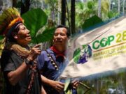 COP 28: Lanzan plataforma global para apoyar a pueblos indígenas en protección forestal