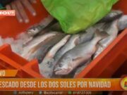 Trujillo: pescado desde los dos soles por navidad