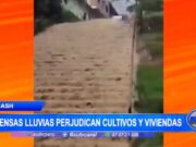 Áncash: intensas lluvias perjudican cultivos y viviendas