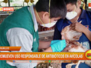 Trujillo: promueven uso responsable de antibióticos en avícolas