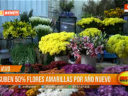 Explosión de demandas eleva precios de flores amarillas en Trujillo