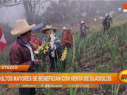 Otuzco: adultos mayores se benefician con venta de gladiolos