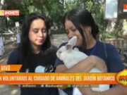 Cien voluntarios al cuidado de animales del Jardín Botánico