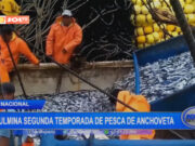 Nacional: culmina segunda temporada de pesca de anchoveta