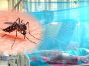 La Libertad: 15 personas se encuentran hospitalizados por dengue