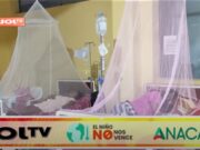 El 58% de casos de dengue se registran en Trujillo