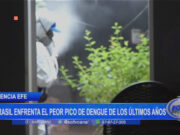 Brasil enfrenta el peor pico de dengue de los últimos años