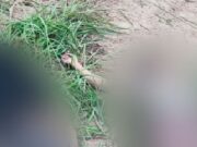 Chiclayo: dos menores de edad mueren electrocutados