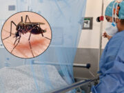 Casos de dengue aumentaron casi un 98% en el 2024