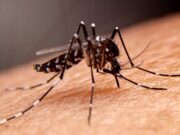 La Libertad: a siete aumetan las víctimas mortales por dengue