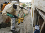 Crisis sanitaria en Brasil ante incremento de casos de dengue