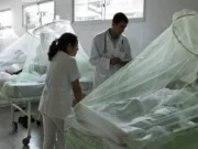 Nacional: declaran emergencia sanitaria por epidemia de dengue en 19 departamentos y una provincia