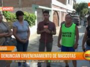 Trujillo: denuncian envenenamiento de mascotas en Urb. La Noria