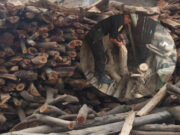 Fiscalía detecta dos panaderías que utilizaban especies maderables protegidas como combustible