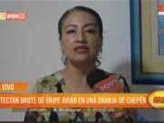 Detectan brote de gripe aviar en una granja de Chepén