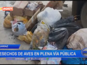 Huaraz: desecho de aves en plena vía pública