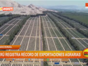 Nacional: Perú registra récord de exportaciones agrarias