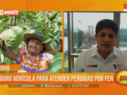 Seguro agrícola para atender pérdidas por FEN