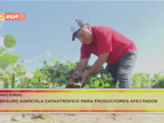 MIDAGRI busca empadronar a productores agrícolas afectados por lluvias y granizos