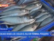 Trujillo: pescado desde los 3 soles el kilo en terminal pesquero