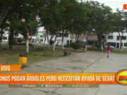 Trujillo: vecinos podan árboles pero necesitan ayuda de Segat