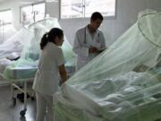 Perú registra 82 fallecidos por dengue en lo que va del 2024