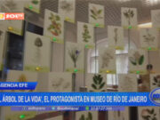 Internacional: «El árbol de la vida», el protagonista en el museo de Río de Janeiro