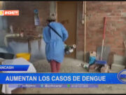 Áncash: aumentan los casos de dengue