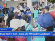 Chiclayo: identifican larvas del zancudo transmisor de dengue