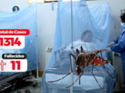 Se eleva a 11 la cifra de fallecidos por dengue en La Libertad