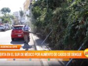 Internacional: alerta en el sur de México por aumento de casos de dengue
