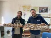 Francia: hallan esqueleto de dinosaurio de hace 70 millones de años