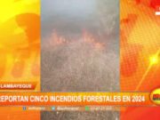 Lambayeque: reportan cinco incendios forestales en 2024