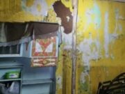 Pasco: más de cincuenta viviendas inundadas por desborde de ríos