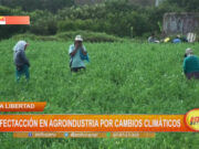 La Libertad: afectación en agroindustria por cambios climaticos
