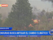 Internacional: Honduras busca mitigar el cambio climático