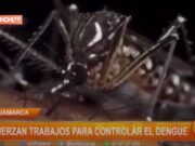 Cajamarca: refuerzan trabajos para controlar el dengue