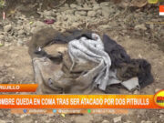 Trujillo: hombre queda en coma tras ser atacado por dos pitbulls