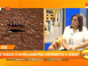 Acciones contra el Dengue: Estrategias y Desafíos en la Región Libertad