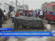 Trujillo: ratas y cucarachas en puestos de informales de mercado ex Mayorista